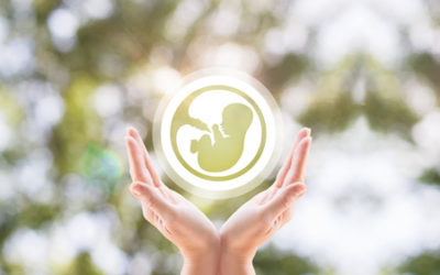 Le préjudice de l’enfant à naître indemnisé