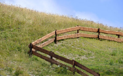 Bornage : quand l’expertise se trompe