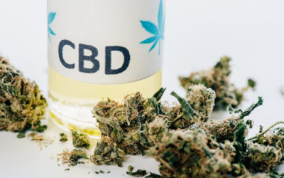 Conduire ou consommer du CBD : faut-il choisir ?