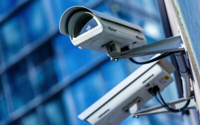 Vidéo-surveillance d’un chemin commun : atteinte illicite à la vie privée