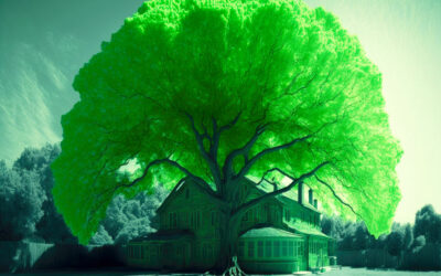 Terrains séparés, élagage refusé !